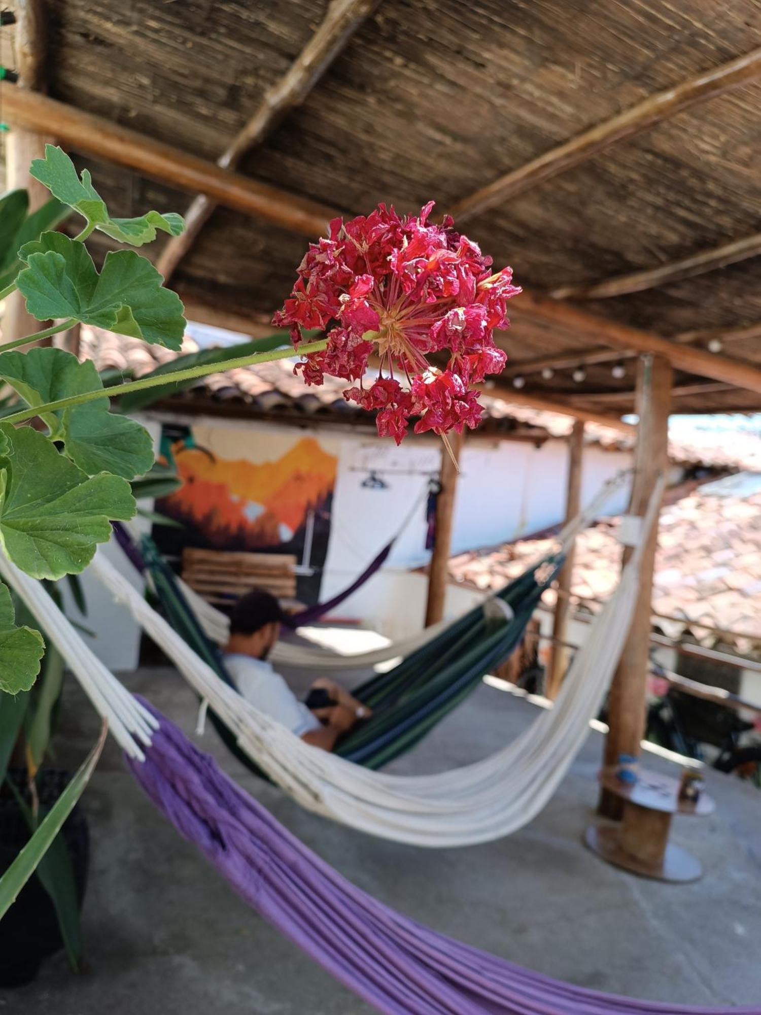 Adventure Hostel Сан-Хиль Экстерьер фото